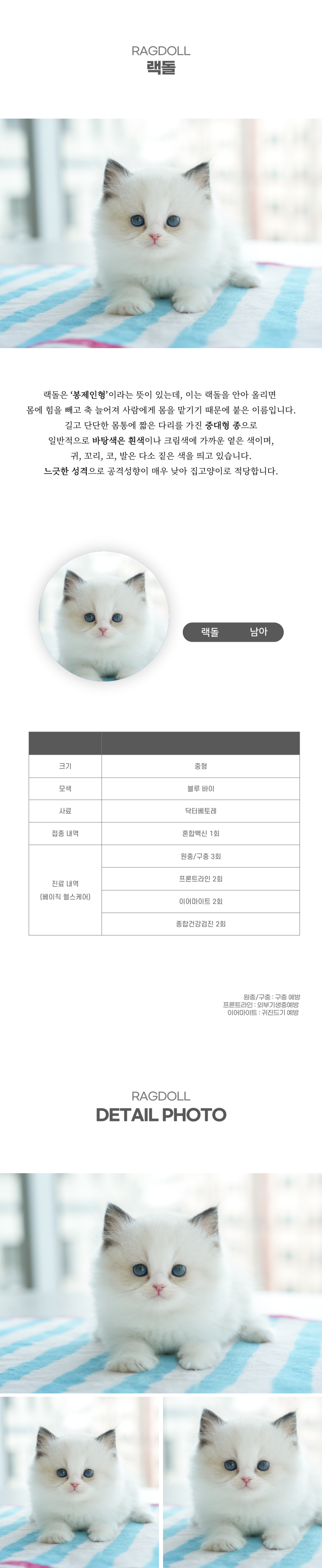 랙돌_상세이미지_2
